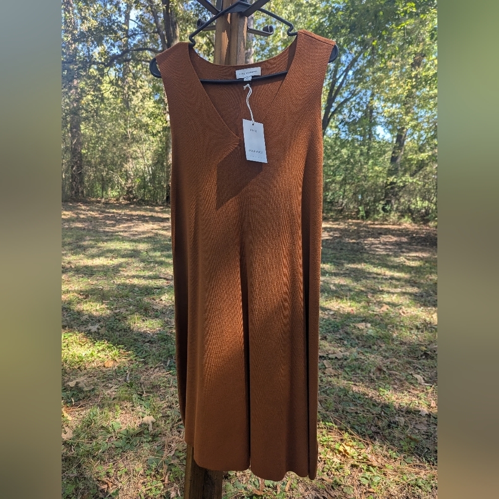 🌟NWT Free Assembly V Neck Swing Fall Ribbed Dress